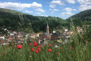 Weidenthal – Wohlfühlen Im Herzen Des Pfälzerwaldes